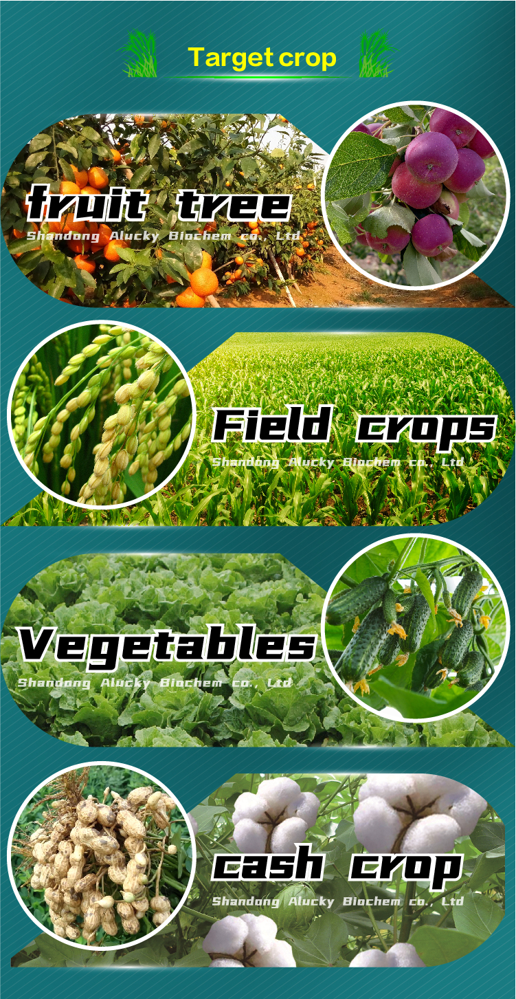 Flonicamid - 图片 6