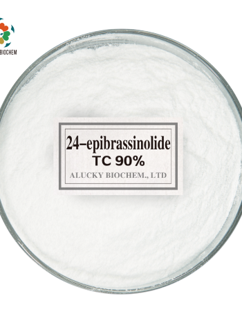 24-epibrassinolide