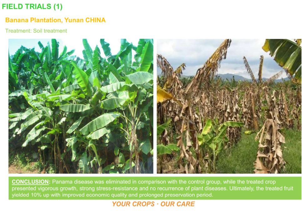 Plant extracted Soil Disinfectant - 图片 4