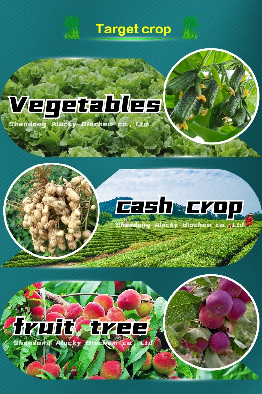 Bifenthrin - 图片 7