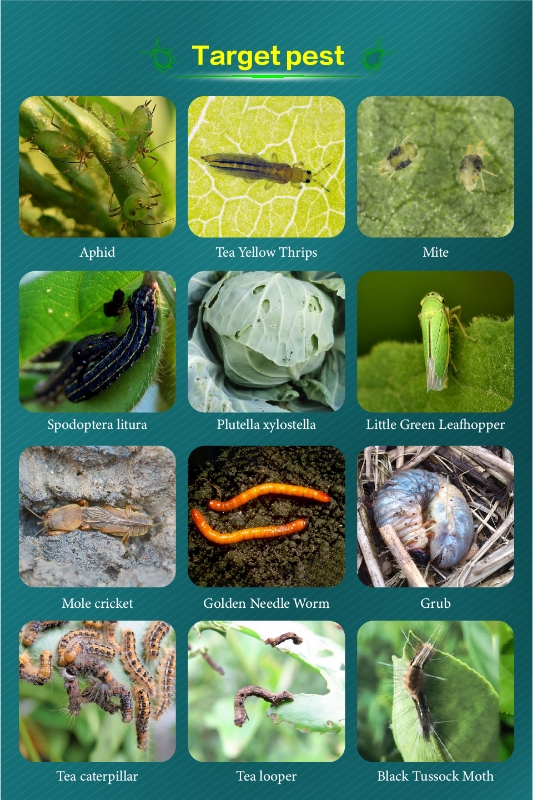 Bifenthrin - 图片 6