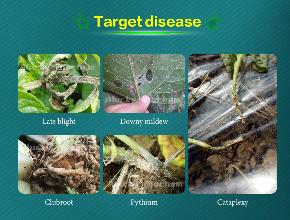 Cyazofamid - 图片 5