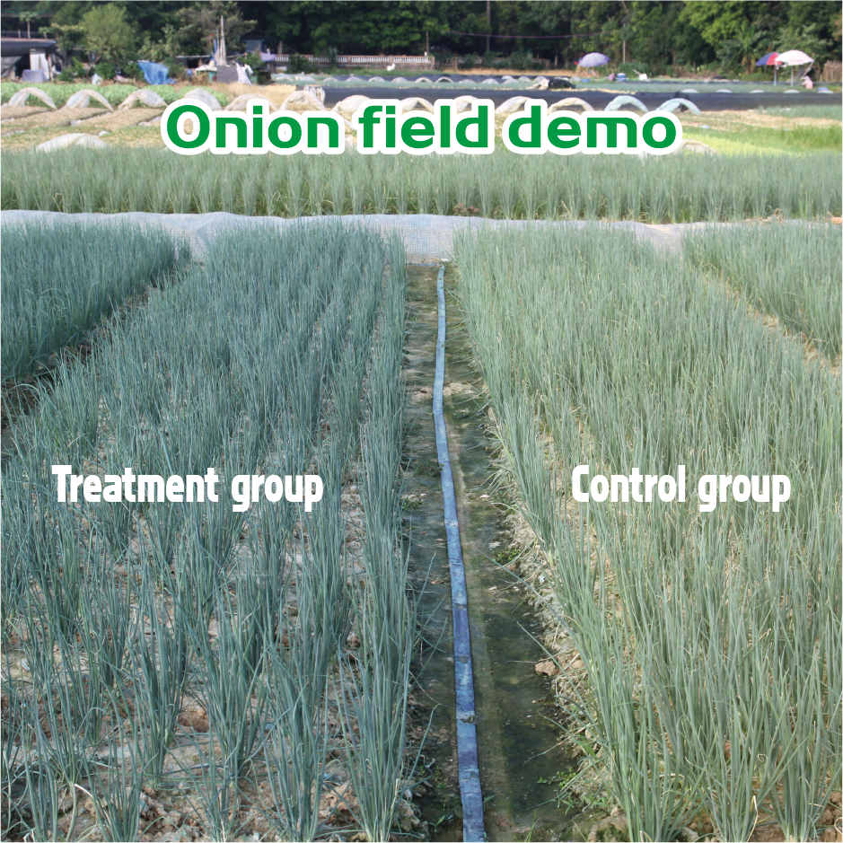 Patented P.D.V - 图片 5